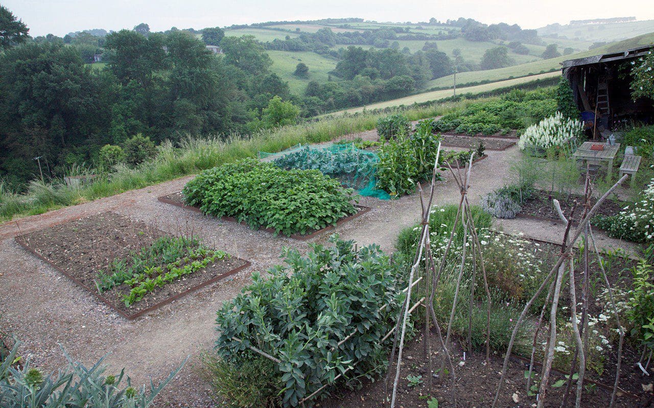 kitchen-gardens-10-steps-to-start-your-own-vegetable-garden-and-what