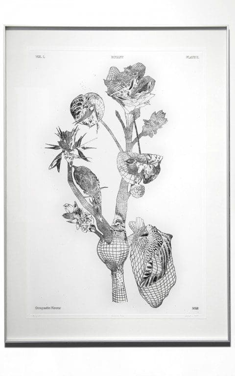 07_Marcin_Rusak_Botanical_Drawing_2