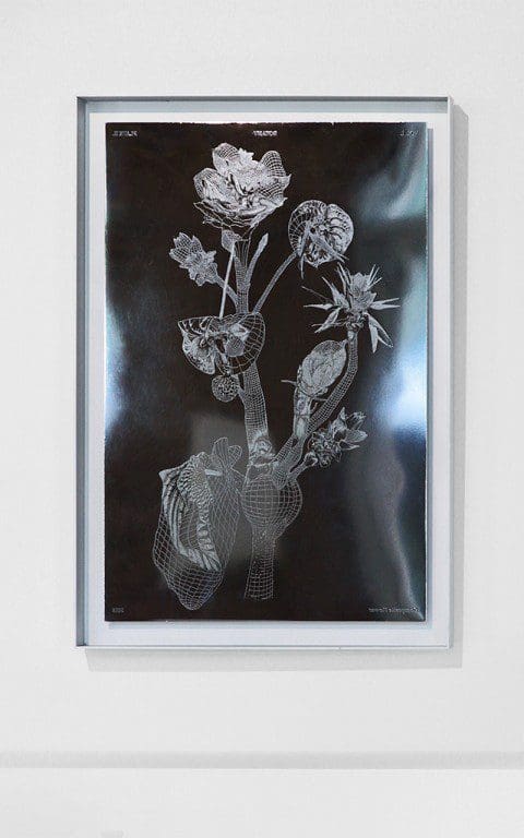 Marcin_Rusak_Botanical_Metal_Plates_05
