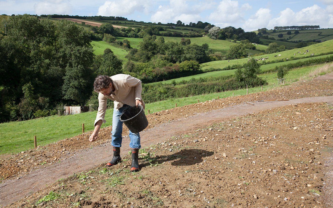 Dan Pearson sowing wildflower meadow seed on the banks in his Somerset garden