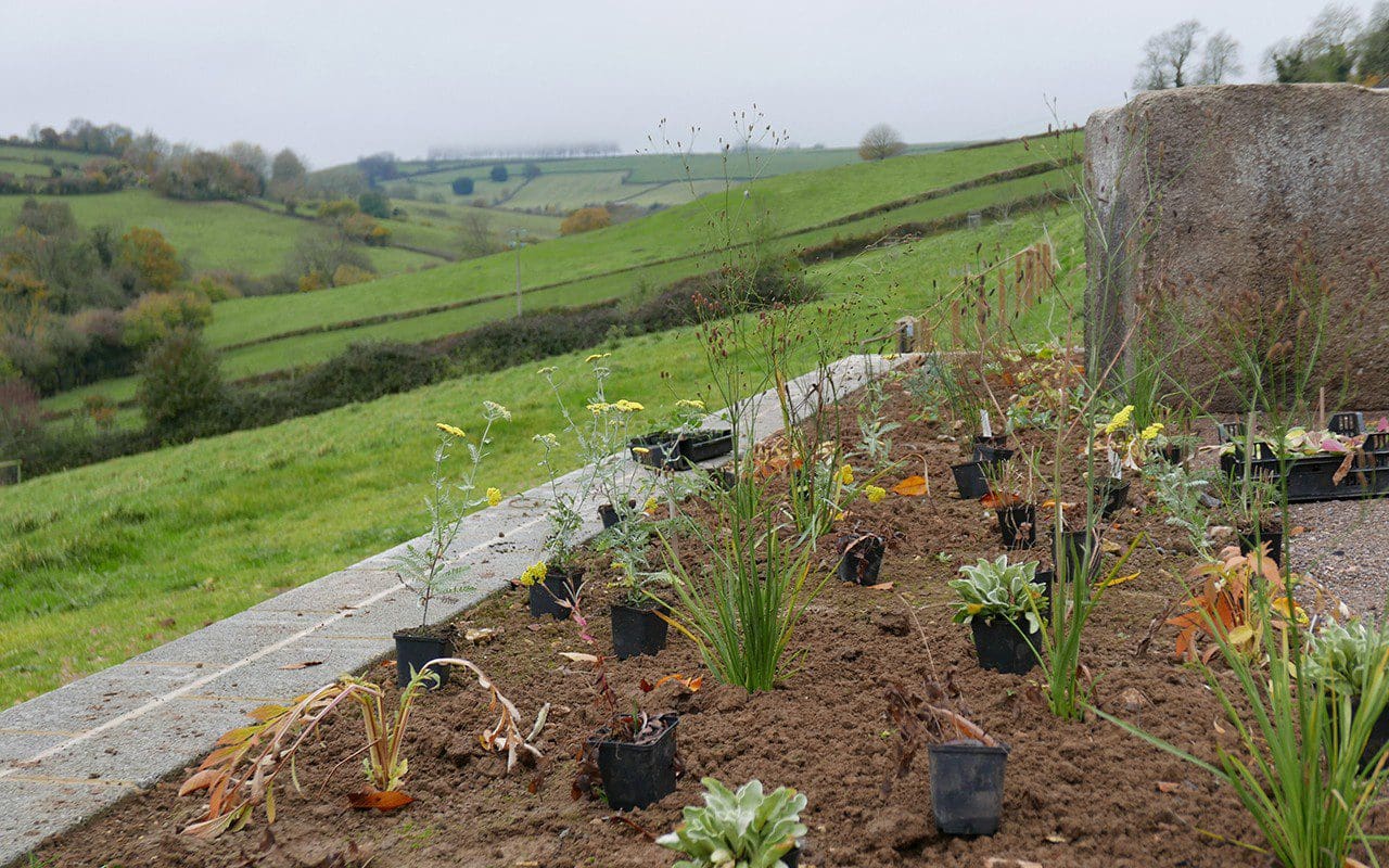 New planting laid out at Dan Pearson's Somerset garden