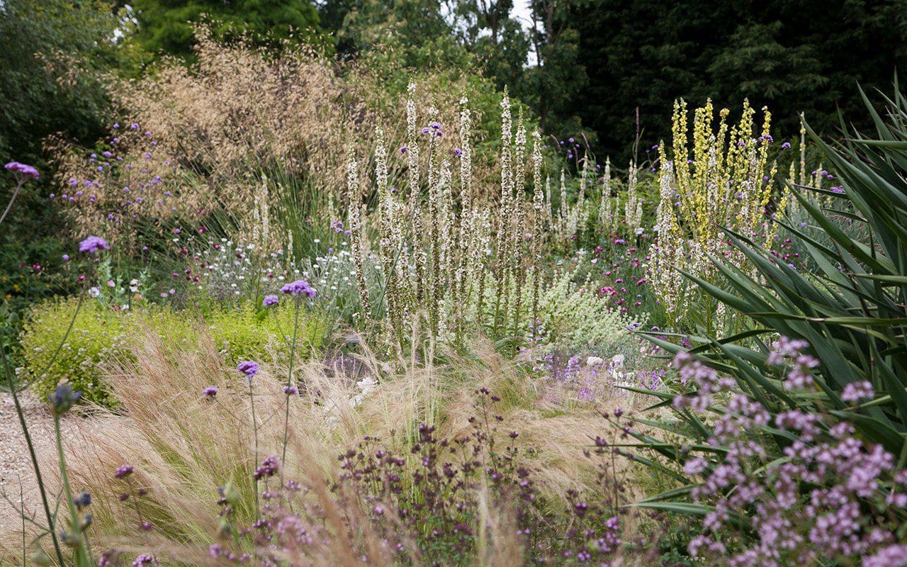 The Beth Chatto Gardens – Dig Delve – An online magazine about gardens ...