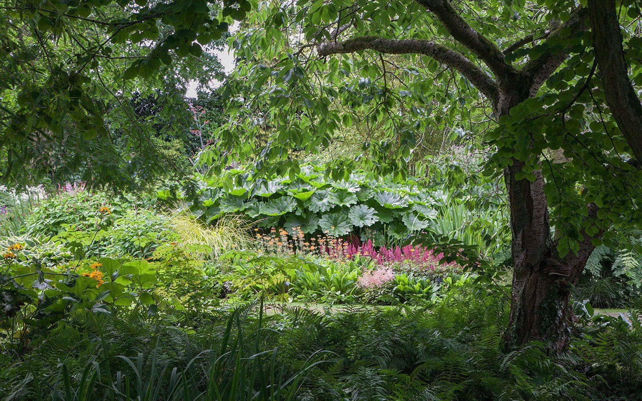 The Water Garden at The Beth Chatto gardens. Photo: Huw Morgan