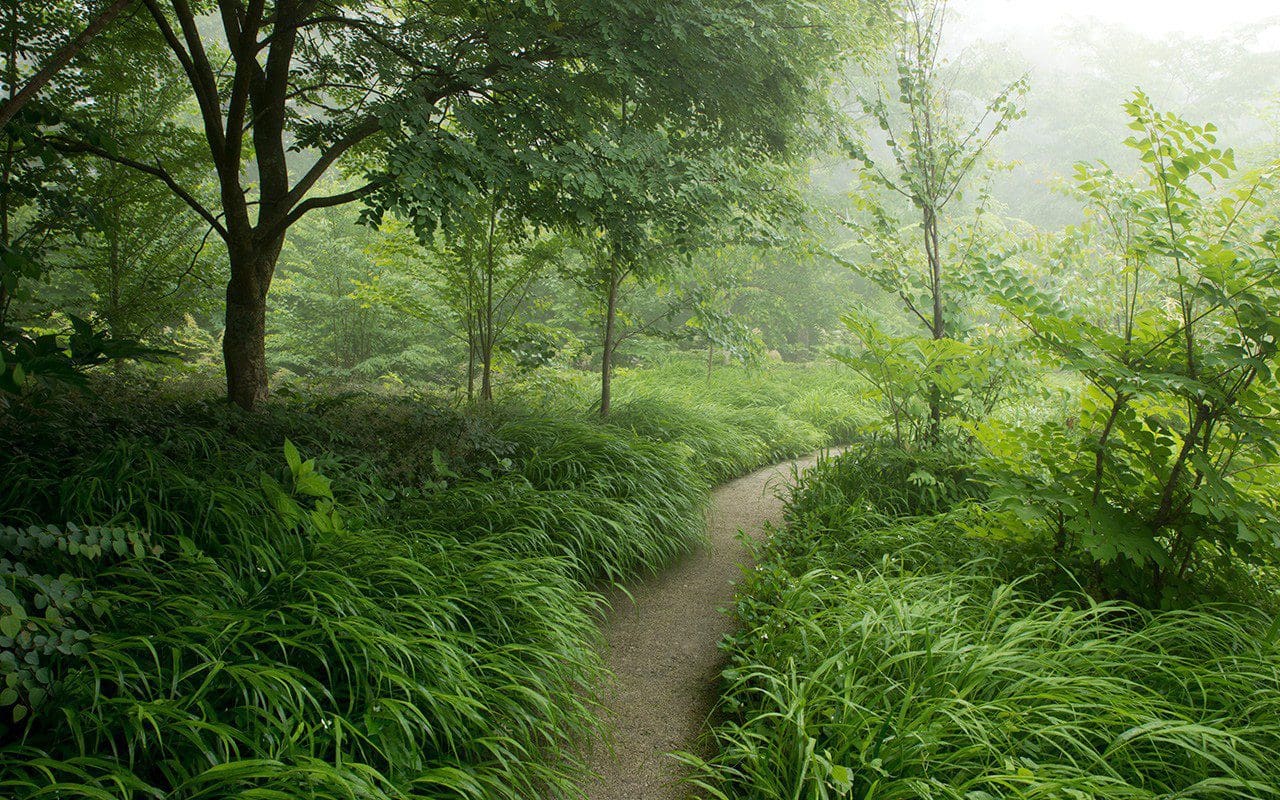 The Woodland Edge of the Meadow Garden at the Tokachi Millennium Forest by Dan Pearson. Photo: Syogo Oizumi