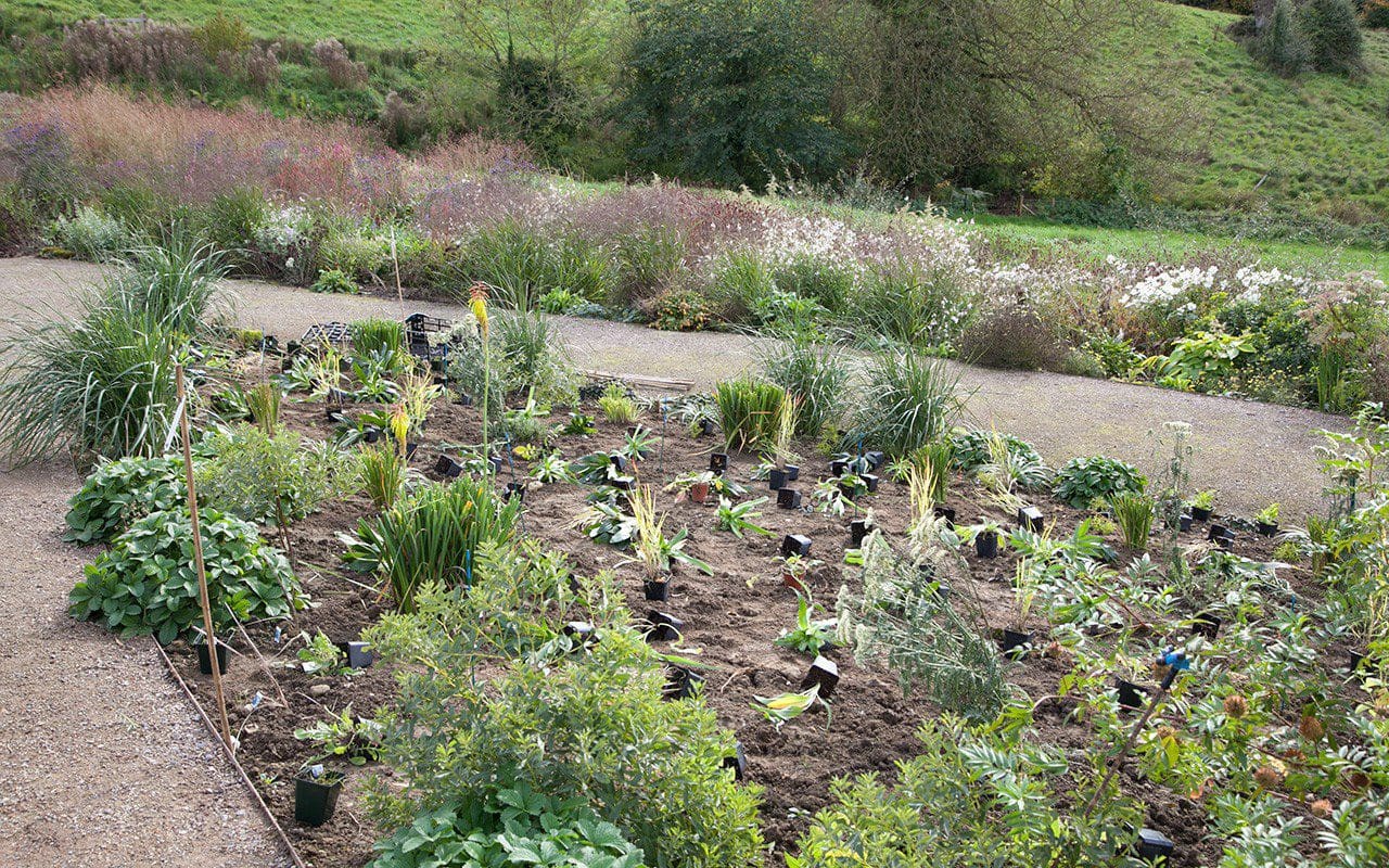 The central bed in Dan Pearson's Somerset garden. Photo: Huw Morgan