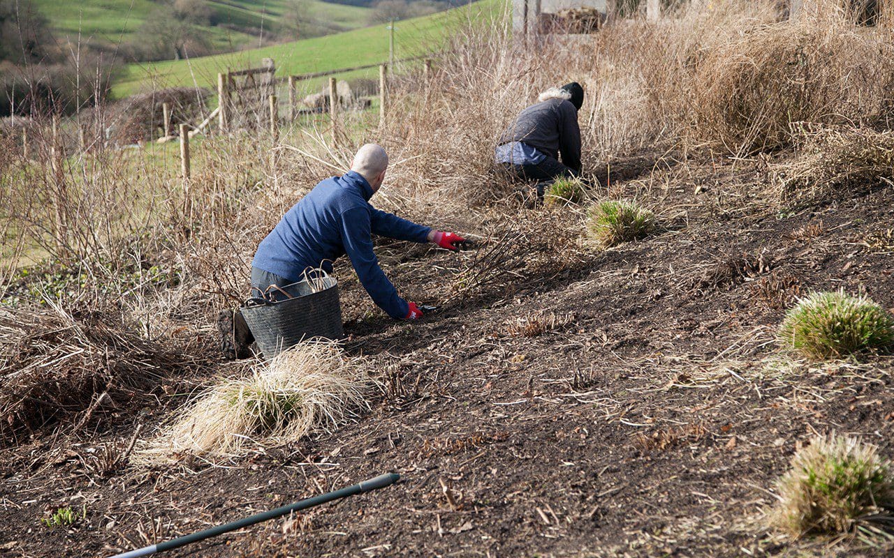 Ray and Jacky clearing the beds in Dan Pearson's Somerset garden. Photo: Huw Morgan