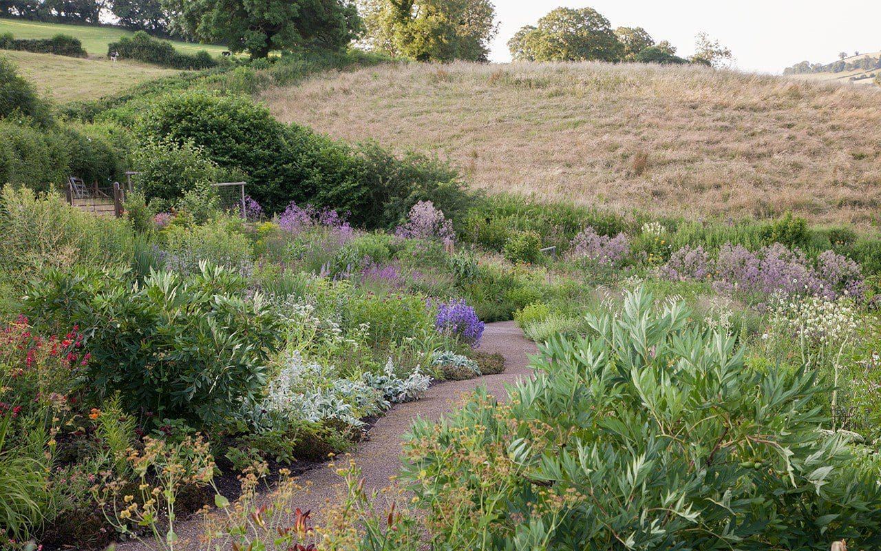 Dan Pearson's Somerset Garden. Photo: Huw Morgan