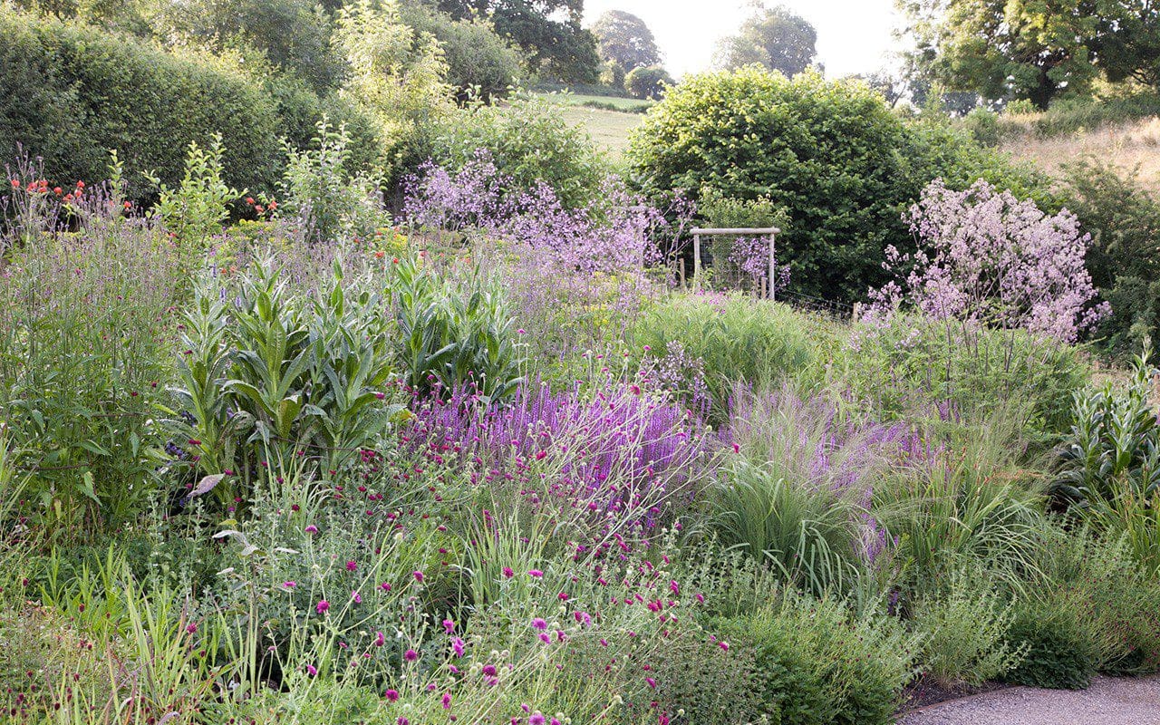 Dan Pearson's Somerset Garden. Photo: Huw Morgan