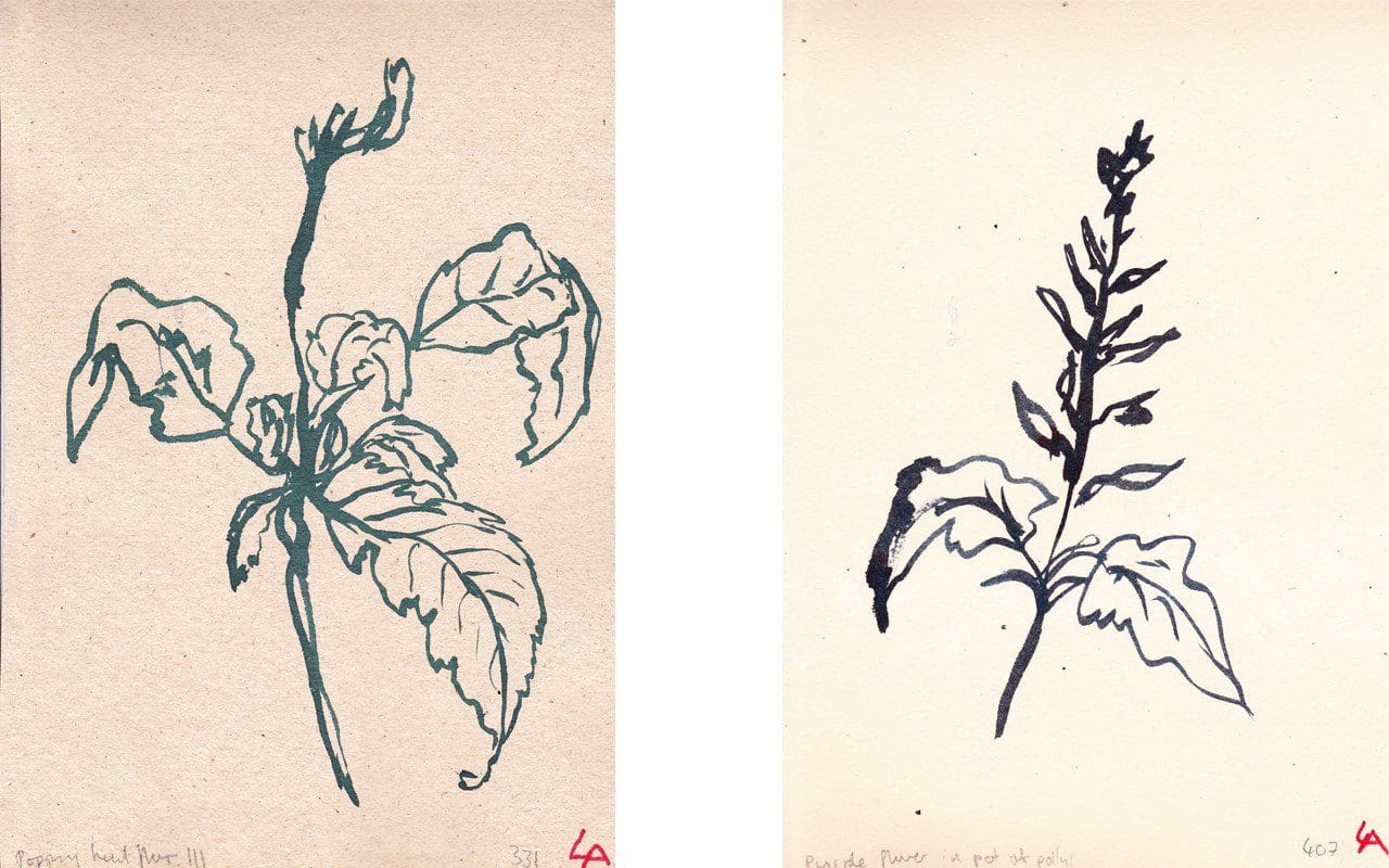 Lucy Auge - 500 Flowers.