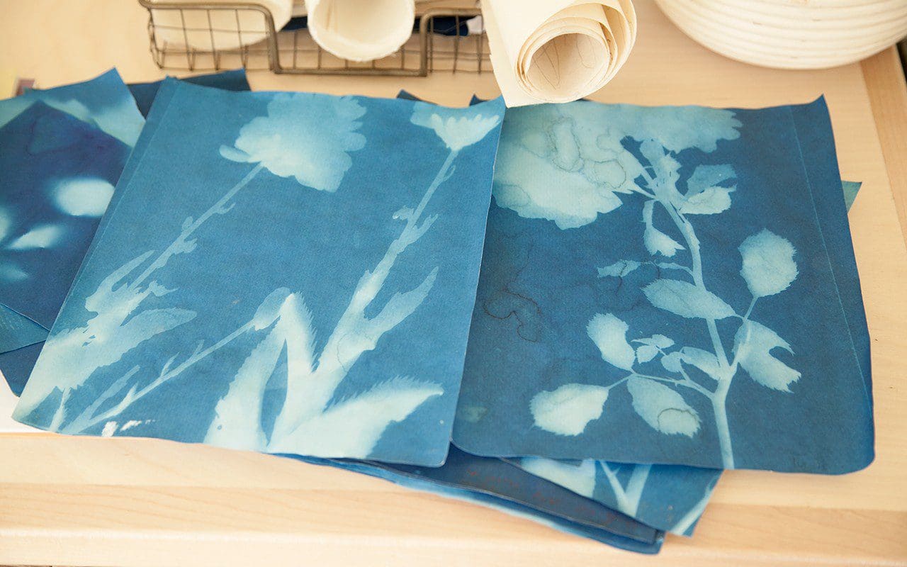 Cyanotypes by Lucy Auge. Photo: Huw Morgan