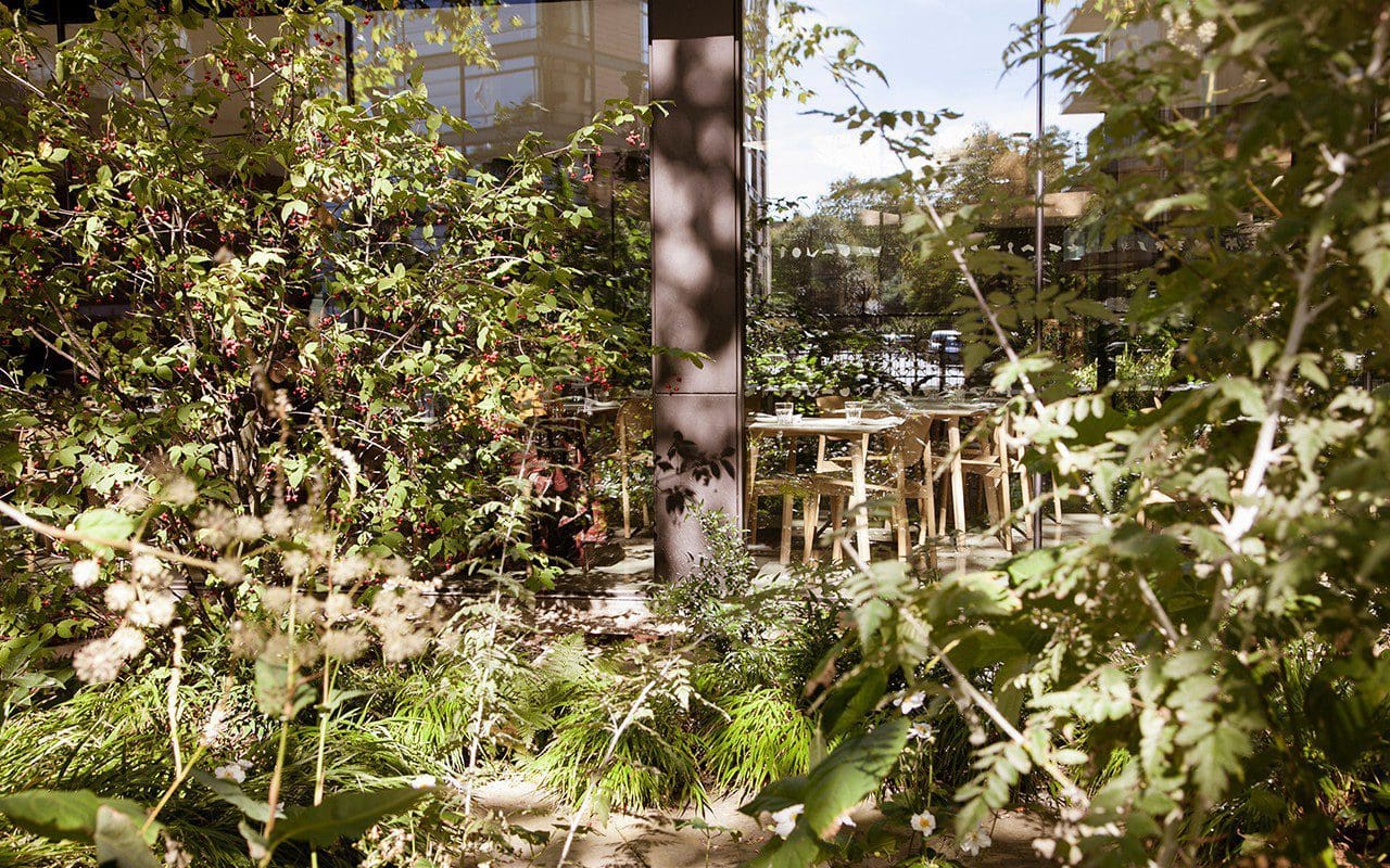 Woodland planting at the Garden Museum, London by dan Pearson. Photo Huw Morgan