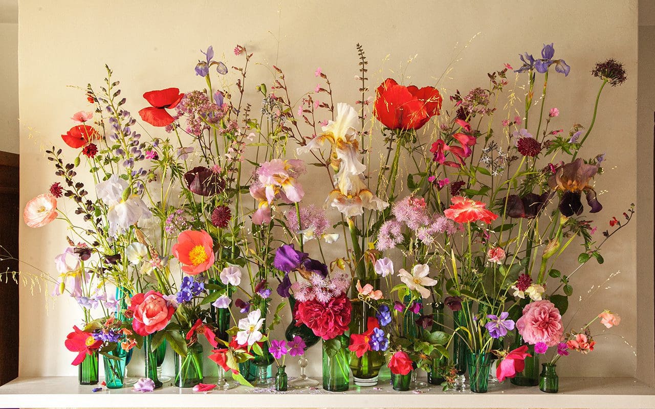 Happy Bank Holiday Dig Delve An online magazine about gardens