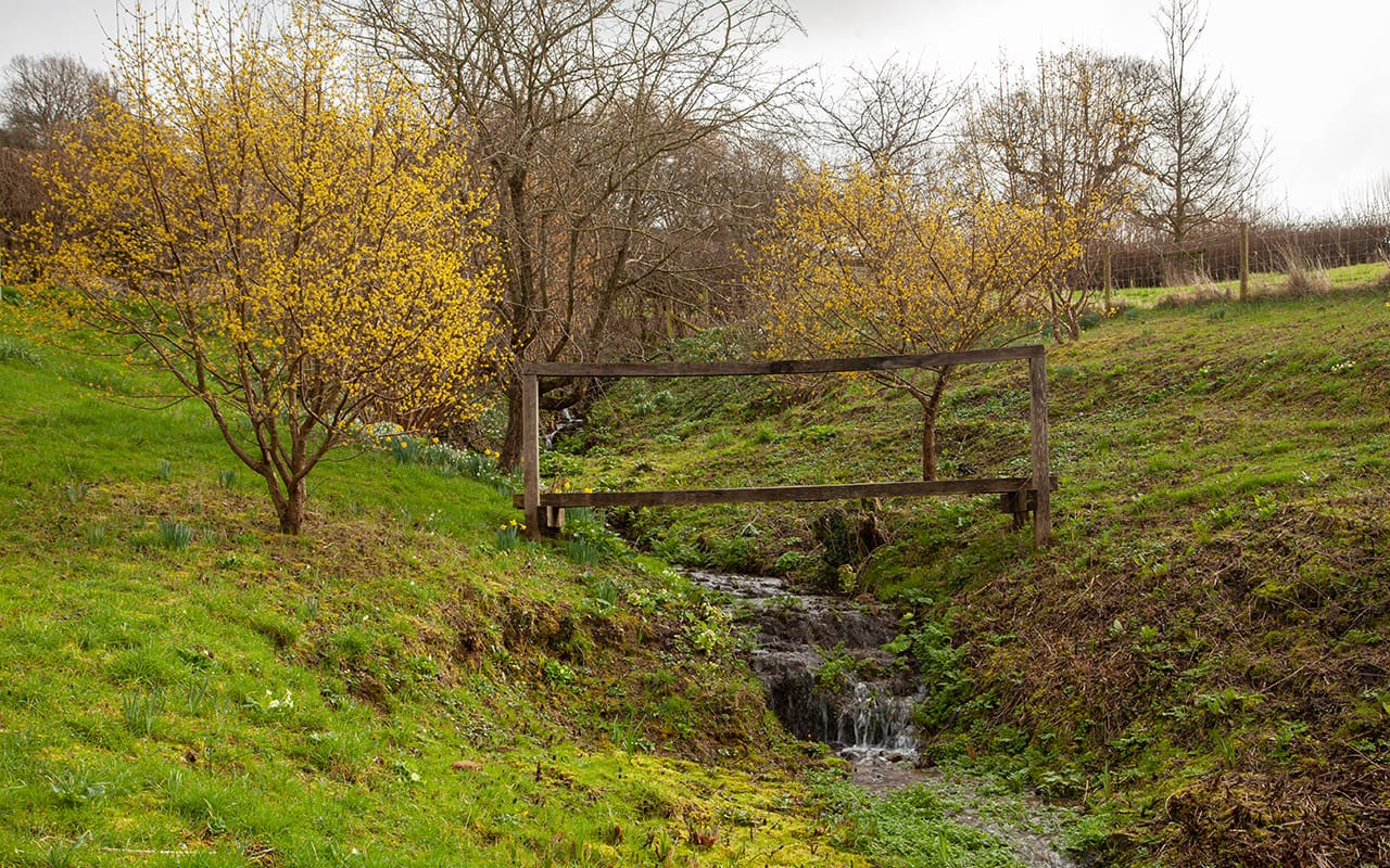 The Ditch Revealed - Dig Delve – An online magazine about gardens ...